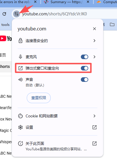 YouTube에 대해 팝업 및 리디렉션을 활성화하는 Chrome 예시